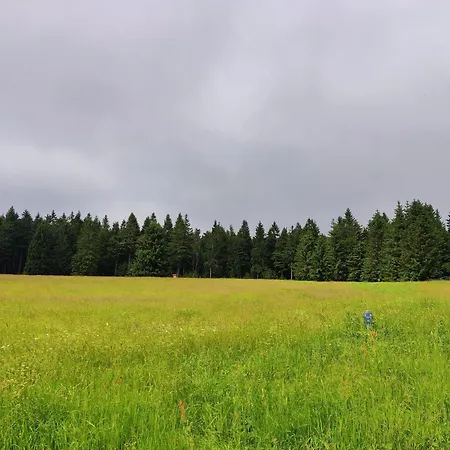 Thuringian Forest House, Cleaning Included