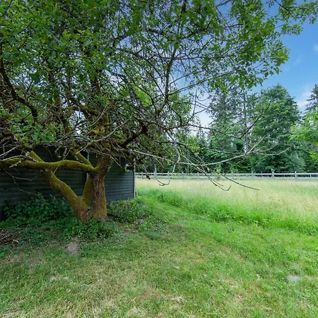 Thuringian Forest House, Cleaning Included *